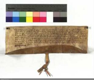 Ludwig v. Nordeck zu Rabenau präsentiert Komthur zu Marb. für die Pfarrkirche zu Wolfshausen den Kleriker Johann Pietor.