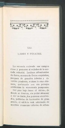 XXI. Lares y penates