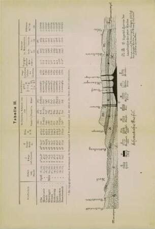 Tabelle III: Schematisches Profil