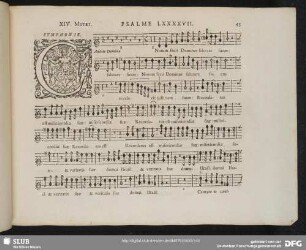 XIV. Cantate Domino canticum novum