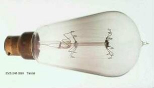 Tantal Drahtlampe