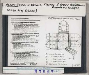 Agnolo Gaddi: Florenz, S. Croce, Castellani-Kapelle, Schema der Fresken