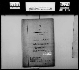 Collmen bei Grimma, Bd. 1