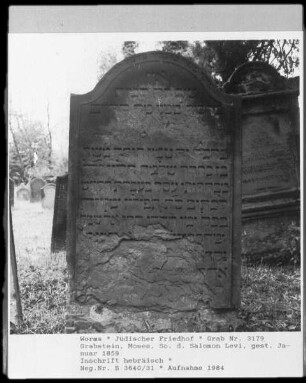 Grabstein von Moses Levi, Sohn des Salomon Levi (+ 1859.01)