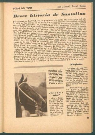 Breve historia de Santolina : Cosas del turf