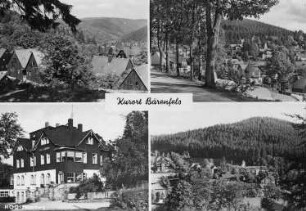 Altenberg-Bärenfels, Kurort. Ortsansicht, Ansichtskarte