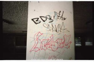 BDS
