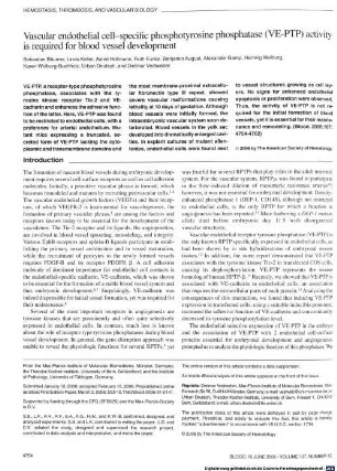 Vascular endothelial cell-specific phosphotyrosine phosphatase (VE-PTP) activity is required for blood vessel development