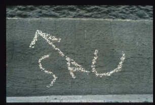 SAU