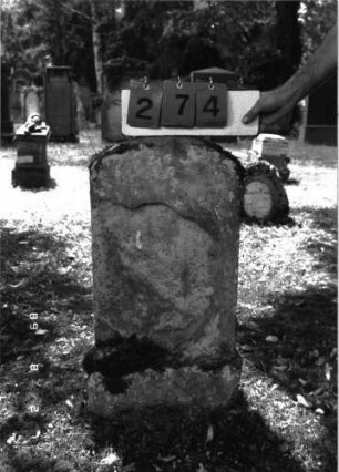 Grabstein 274 (Index: 100101691) Material: Sandstein Zustand: verwittert mit völligem Textverlust Maße HxBxT: 77x39x15 cm Beschreibung: Stele, Sockel, Segmentbogenabschluß: Grabstein 274