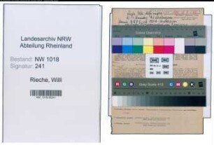 Entnazifizierung Willi Rieche , geb. 24.08.1903 (Hilfsmeister)