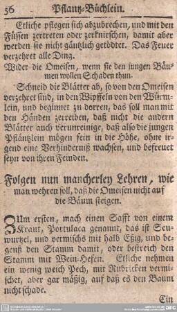 Folgen nun mancherley Lehren, wie man wehren soll, daß die Omeisen nicht auf die Bäum steigen.