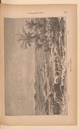 Hügelland. Karawane. Oase. Aus der Sahara