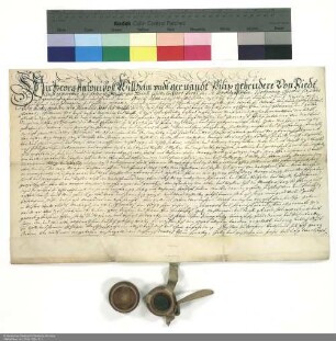 Revers Georg Antons von Ried und seiner Brüder bezüglich der Belehnung mit Gütern bei Praunheim und Eschersheim durch Placidus [von Droste], Abt von Fulda