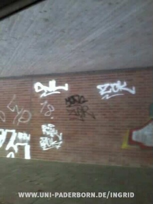 DNL RiSK ZiCK SICK