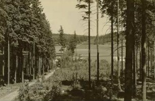 Oberhirschsprung. Ortsteilansicht mit Gasthof "Buschhaus" und Försterei vom Reitsteig
