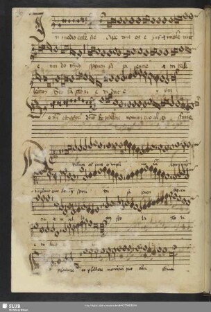[Anon.:] In medio ecclesiae