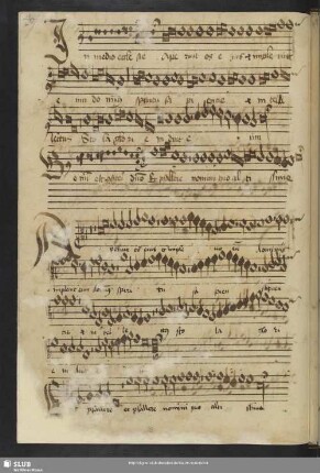 [Anon.:] In medio ecclesiae