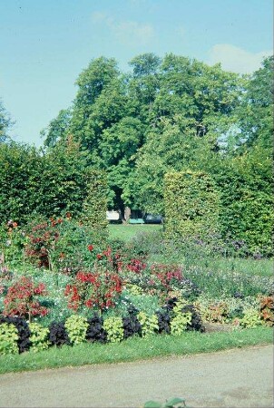 Blumenrabatten bei der Orangerie, Parklandschaft mit hohen Bäumen