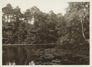Pommern. Insel Wollin. Am Jordansee bei Misdroy