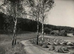 Altenberg-Hirschsprung. Feldweg gegen Gehöft