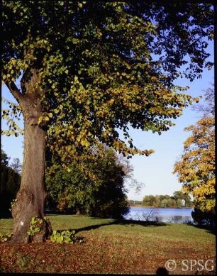 Potsdam, Neuer Garten, Parkansicht im Herbst mit Heiligem See.