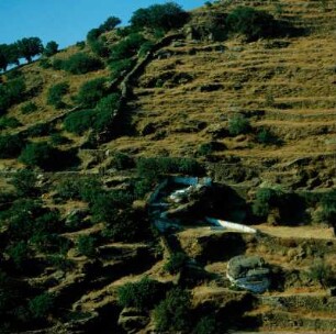 Archaischer Löwe von Kea nordöstlich von Ioulida in terrassiertem Gelände
