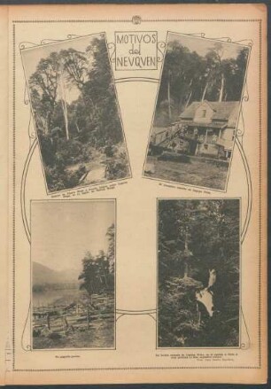 Motivos del Neuquén