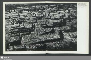 Auf dem Friedhof in Worms liegen Grabsteine aus dem 11. Jahrhundert, deren Schrift man nicht entziffern kann