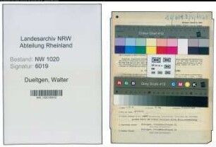Entnazifizierung Walter Dueltgen , geb. 19.12.1891 (Kaufmann)