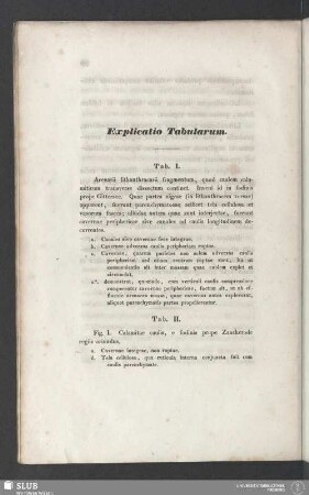 Explicatio Tabularum