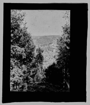 Blick aus Richtung Wartturm auf Wertheim
