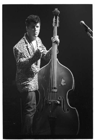 Stray Cats 29.06.1989 I N 1