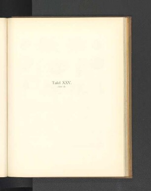 Tafel XXV. (Tafel II.)