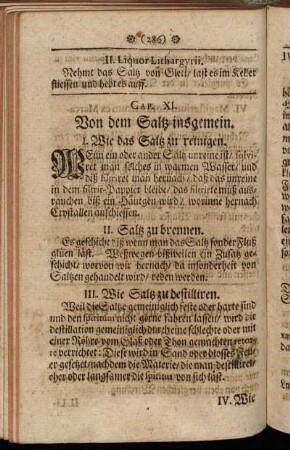 Cap. XI. Von dem Saltz insgemein.