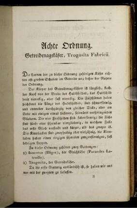 Achte Ordnung. Getreidenagekäfer, Trogosita Fabricii.
