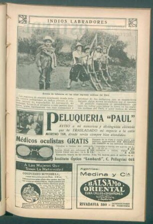 Indios labradores