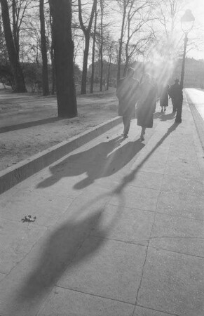 Sonniger Vorfrühlingstag.