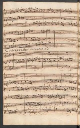 13a. Contrapunctus 13 a 3 (rectus)