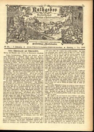 Ausgabe vom Sonntag, den 08. Dezember 1895.
