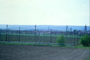 Hopfenfeld bei Großfahner, Blick zum Ort