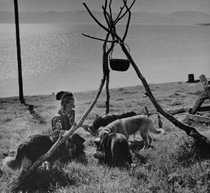 Archivfotografie "menschen_ausland_norwegen_3517"
