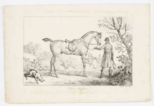 Chasse Anglaise