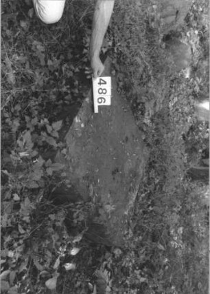 Grabstein 486