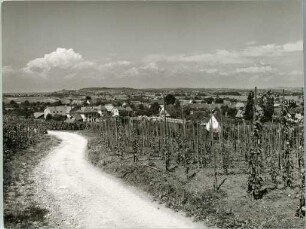 Schallstadt