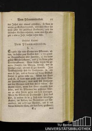 Sechstes Kapitel. Vom Pflaumentreiben.