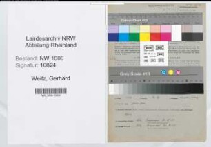 Entnazifizierung Gerhard Weitz, geb. 23.11.1898 (Technischer Angestellter)