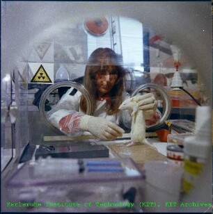 Versuche mit Laborratten im Institut für Genetik und Toxikologie von Spaltstoffen (IGT)