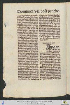 Dominica septima
