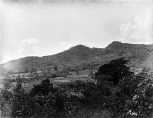 Hügellandschaft : Hügellandschaft mit verschiedenartiger Vegetation